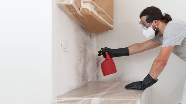 Professional Attic Mold Removal technician working in Midland, MI