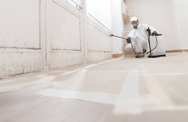 24/7 Emergency Attic Mold Removal experts in Midland, MI